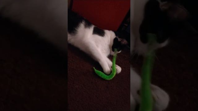 ultimate worm attack смотреть онлайн