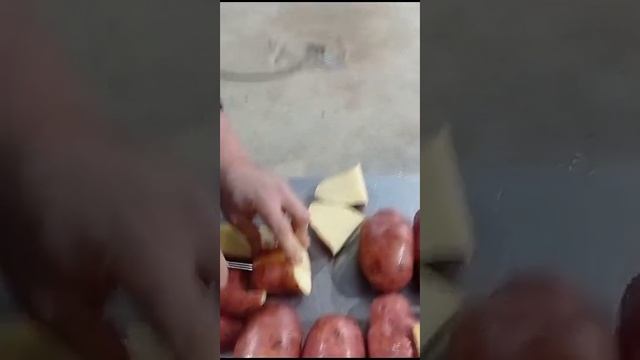 Картофель Ред Скарлет ООО "Заповедник" смотреть онлайн