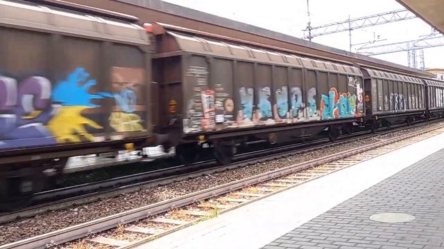 E191 013 con un convoglio di carri chiusi смотреть онлайн