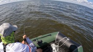 ДА ЧТО ТУТ ПРОИСХОДИТ?! ПОКЛЕВКА ЗА ПОКЛЕВКОЙ! ЖОР СУДАКА. Рыбалка на спиннинг в августе.