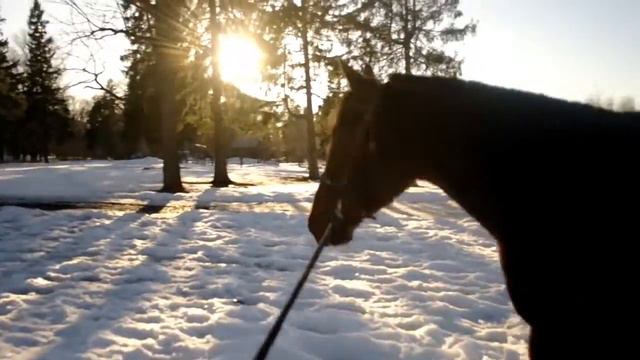 Весенний день [2] #изжизни смотреть онлайн