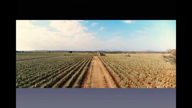 Обзор бизнеса. Как запустить свой интернет-магазин бренда форевер с "0" смотреть онлайн