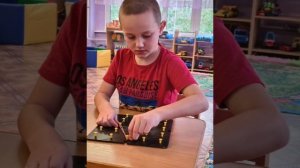 Особенности работы с детьми с задержкой психического развития