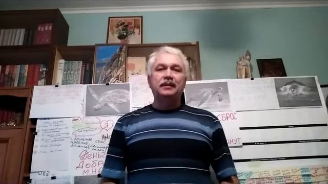 Святослав Печеневский смотреть онлайн