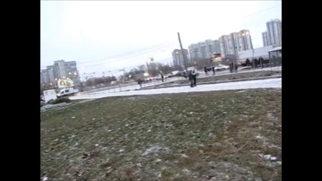 Кофе цветет.Деревья пилят. смотреть онлайн