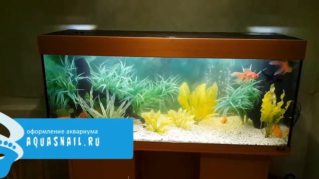 Оформление аквариума. Стиль "Тропический лес". "Классический №4" смотреть онлайн