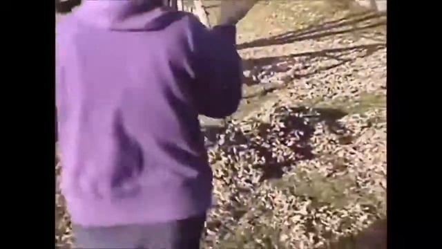 Собачки резвятся в листьях / юмор, прикол, смех [NEW] смотреть онлайн