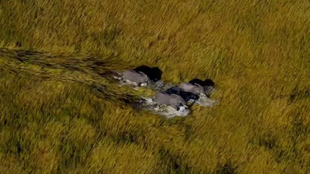 Armand Amar - La Terre vue du ciel смотреть онлайн