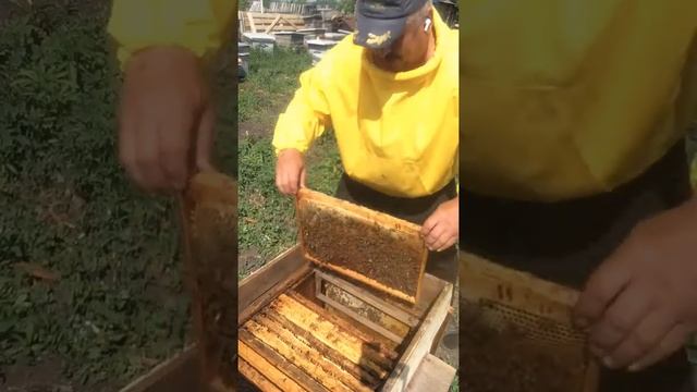 Строительная рамка что это такое и для чего она нужна