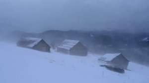 Вьюга, метель, снежный буран, вой волков! Видео для релаксации и медитации.