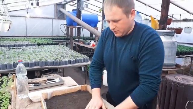 Посев ТОМАТОВ на рассаду