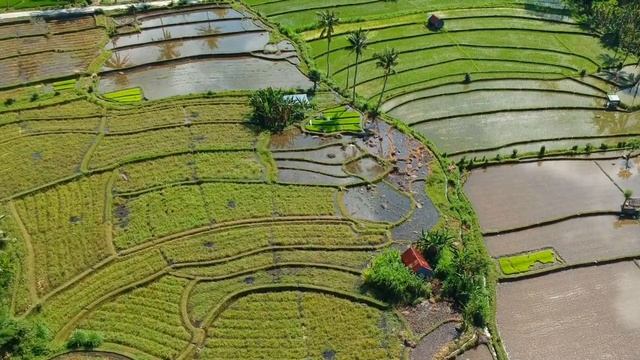 BALI time lapse- beauty of Indonesia | "island of god" full time lapse video in full HD 2020 смотреть онлайн