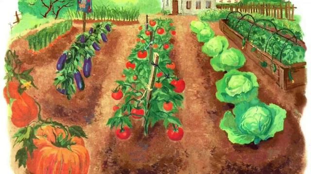 Развитие речи. 2-я мл.группа. "Поможем Мышке вернуться домой" смотреть онлайн