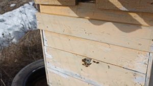 Сезон открыт.