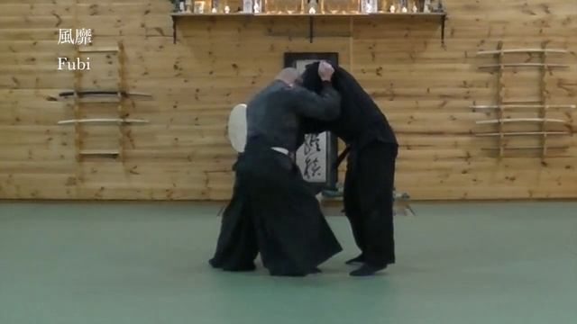 Shinden Fudou Ryu Dakentaijutsu смотреть онлайн