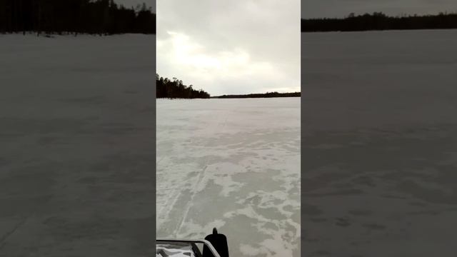 Бравик рулит!