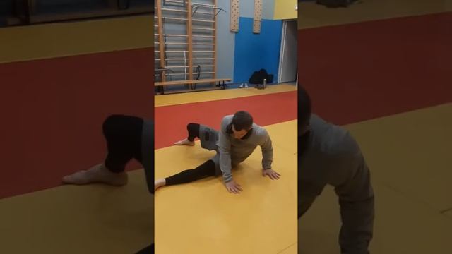 Самбо/дзюдо дома(3) смотреть онлайн