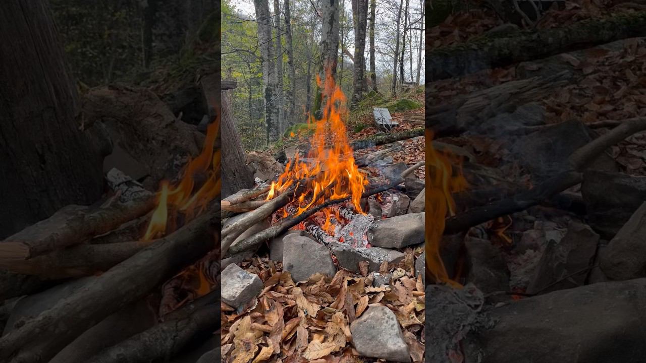 Поход на Планческие скалы 06.11.2023 #горызовут #горыкавказа #планческиескалы смотреть онлайн