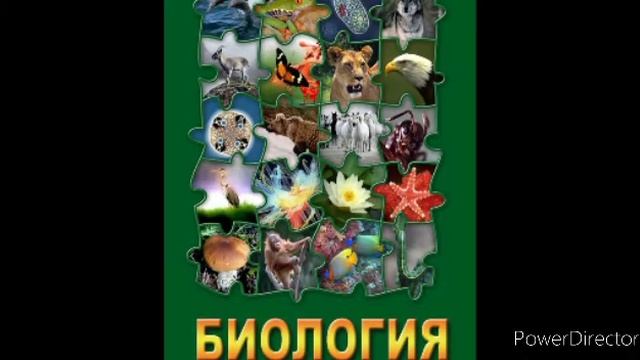 #33 Тип моллюски. Биология 7 кл. смотреть онлайн