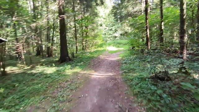 Красногорская лыжная трасса - летом! смотреть онлайн