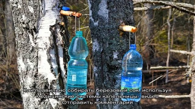 Магия в каждом из нас