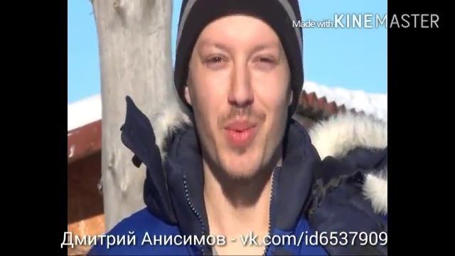 Лошадь сидит. Как научить лошадь сидеть. смотреть онлайн