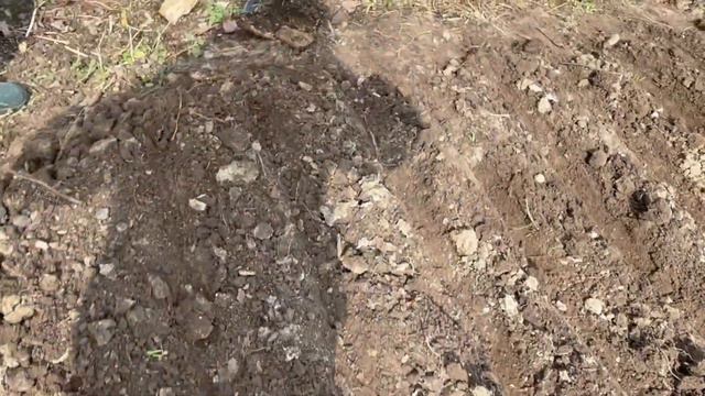 ДЕНЬ В СЕЛІ. САДИМО ЦИБУЛЮ, МОРКВУ, РЕДИСКУ, ОГІРКИ. БЛОКФЛЕЙТА. смотреть онлайн