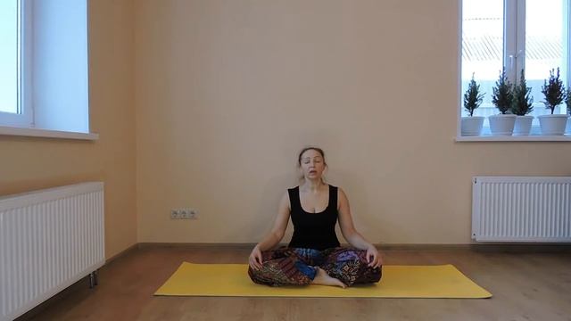 Йога. Аштанга Намаскара. Приветствие восемью точками. смотреть онлайн