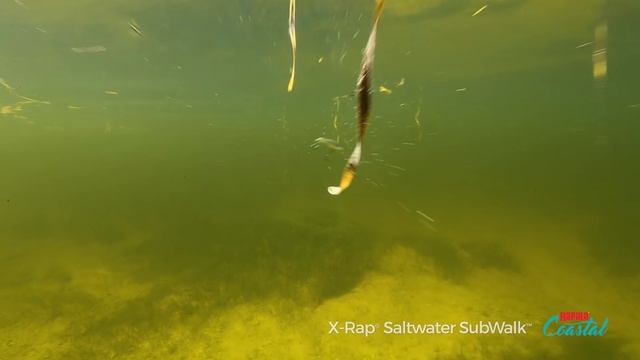 Walk-the-dog under the surface with The Rapala® X-Rap® Saltwater Subwalk™Walk-the-dog under the surf смотреть онлайн