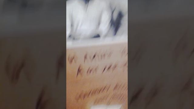 2.09.15 Выставка в Перми. Б.У. Кашкина. смотреть онлайн