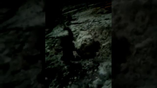 Катя любит громить снеговиков😂 смотреть онлайн