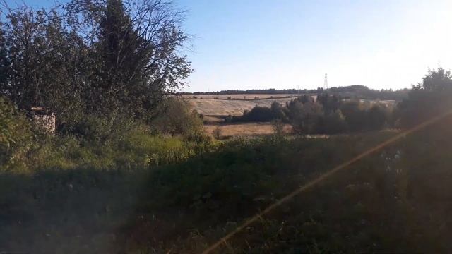 Домик в деревне , мини обзор . Куры выращенные из яйца. смотреть онлайн