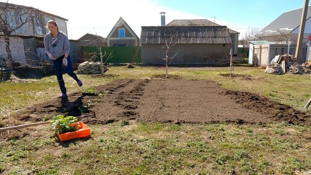 Сажаем клубнику смотреть онлайн