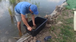 Как сделать СКИММЕР для пруда своими руками. Пруд на участке