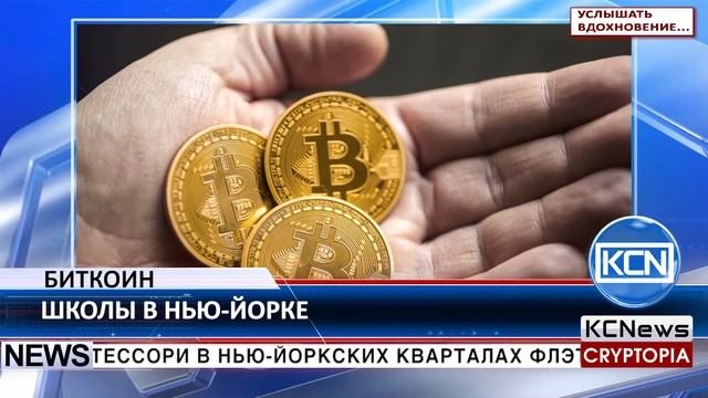 KCN Частная школа в Нью Йорке принимает биткоин смотреть онлайн
