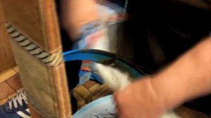 Мездрение шкуры козы на косе. Обработка шкуры