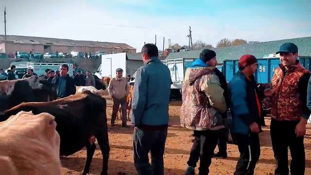 Шанбебозори Фархор