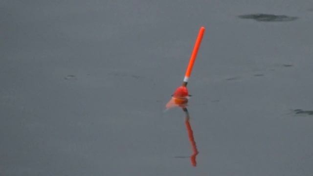 Рыбалка на поплавок 23 августа и ловля на живца смотреть онлайн