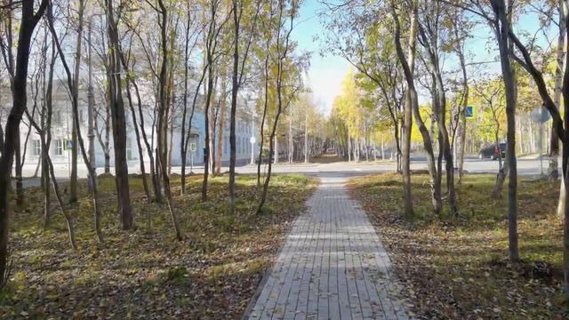 Мончегорск, по аллеям вдоль проспекта Металлургов смотреть онлайн
