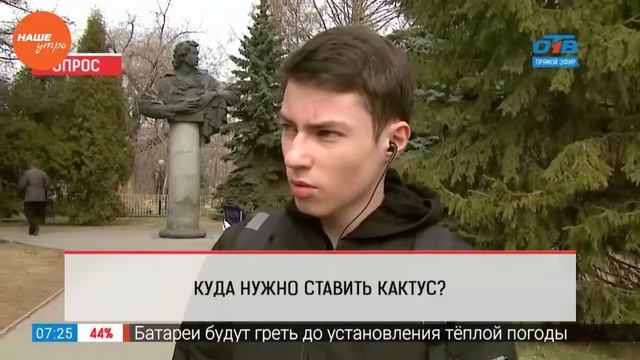 Опрос — куда поставить кактус? смотреть онлайн