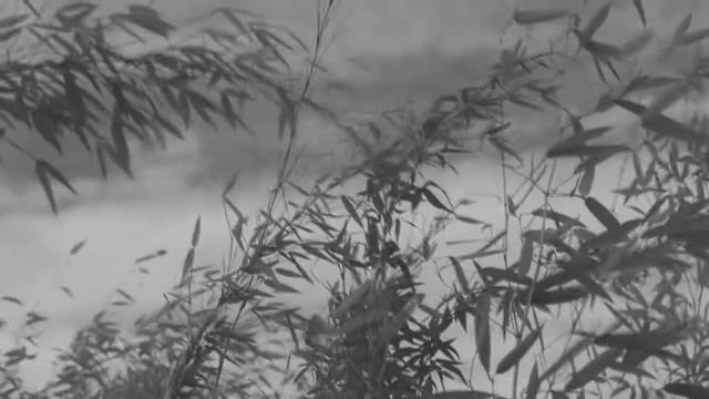 Black Metal Mix [Atmospheric Session] #1