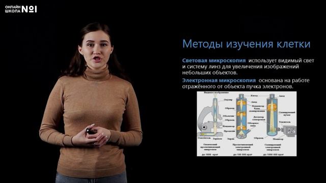Клетка – структурная и функциональная единица. Биология 10 класс. Видеоурок 7