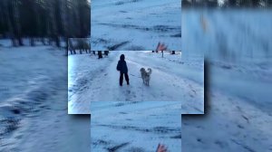 YTPMV VID-20201213-WA0010 scan