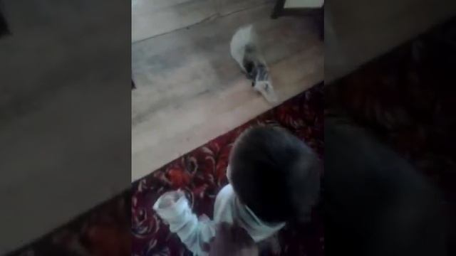 Вскрыл склад муки смотреть онлайн