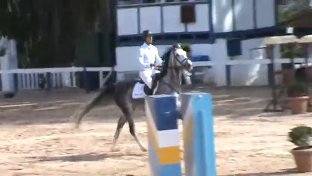 Caliane RCli (5anos) - Rafael Miranda - Ranking SHC julho/2013 смотреть онлайн