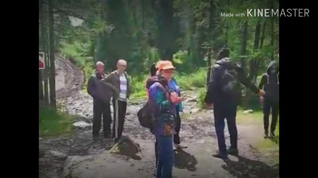 Горный Алтай, ущелье Актру смотреть онлайн