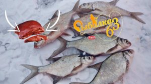 Куриная печень в прикорм, это работает, Зимняя рыбалка на леща