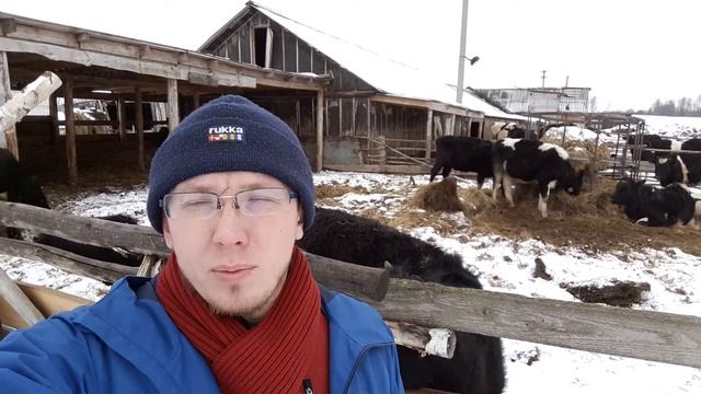 Дни доставки и когда делать заказ на продукты. смотреть онлайн