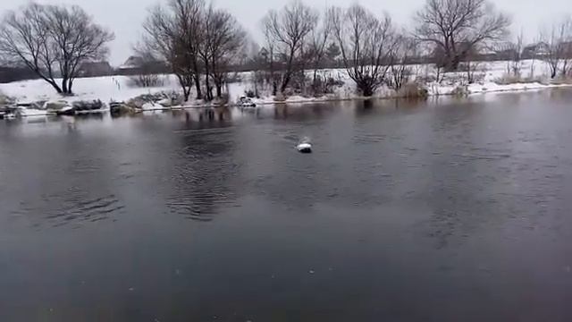 Водоизмещающий Скат 3 смотреть онлайн