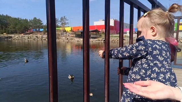ОТДЫХ В ЕКАТЕРИНБУРГЕ | Едем в столицу Урала, катаемся на колесе обозрения| #екатеринбург #туристы смотреть онлайн